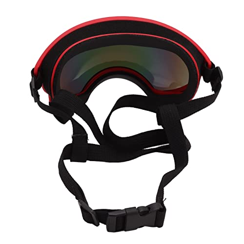 Lunettes pour chiens KIMISS protègent du vent et poussière
