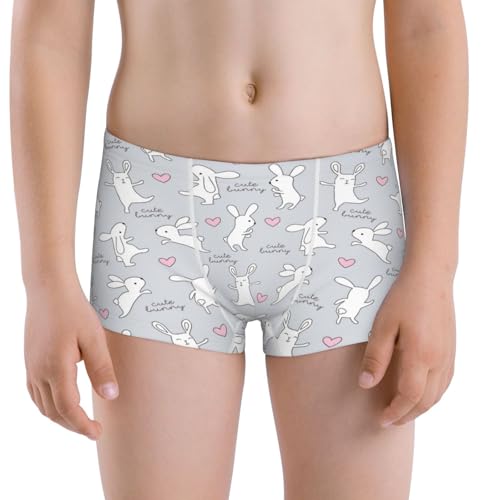 Boys' Cotton Boxer Brief Soft Underwear-Fun Rabbit
