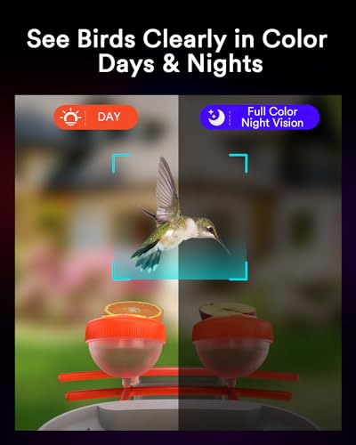 Lumary-Bird-Feeder-with-Camera-DIY-Add-ons-Hummingbird-Feeder-Solar-Powered-Smart-AI-Identify-Auto-Capture-Motion-Detection-Gift-for-Bird-Lover