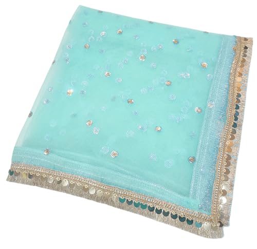 Image of Navti Creations Women's Lightweight Net Dupatta With Sequence Embroidery & Kiran Border (Length 2.25m)