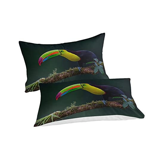 Parure de lit animaux pour une ambiance jungle chic et moderne
