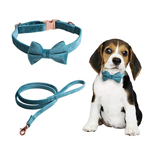 IDOLPET Dog Collar with Bowtie Velvet Dog Collar and Walking Leash Set Adjustable Dog Collars Safety Collar for Small Dog Boy and Girl (Blue, S)