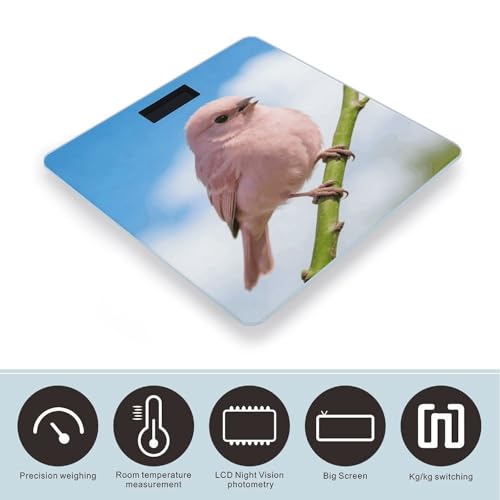 Báscula Digital de Baño con Plataforma Vidrio Templado miniatura 3