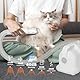 Blanlody Hundestaubsauger mit Bürste, 16000 Pa Leise Hundebürste Staubsauger Saugt 99.99% der Tierhaare Hundeschermaschine Hund Katze, Tierhaarentferner mit 6 Pflegewerkzeugen, 1.5L Staubbehälter