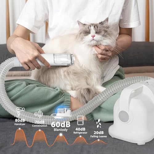 Blanlody Hundestaubsauger mit Bürste, 16000 Pa Leise Hundebürste Staubsauger Saugt 99.99% der Tierhaare Hundeschermaschine Hund Katze, Tierhaarentferner mit 6 Pflegewerkzeugen, 1.5L Staubbehälter