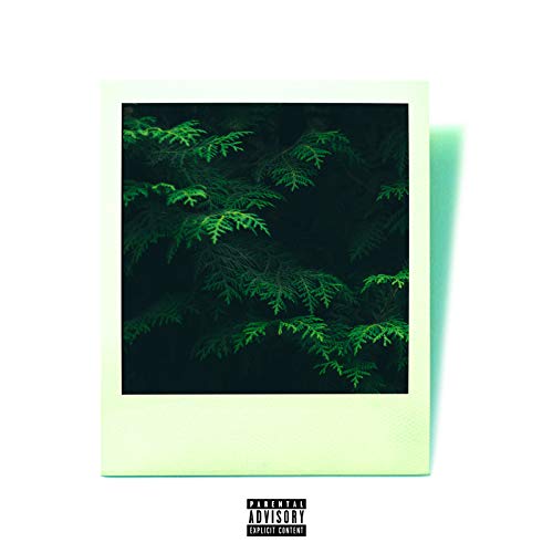 Play Evergreen by Brandon Taylor on Amazon Music Unlimited