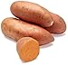 Sweet Potato Conventional, 48 Ounce Sweet Potato Conventional, 48 Ounce