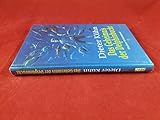 Das Geheimnis der Delphinbucht - Dieter Kühn Armin Daniel 