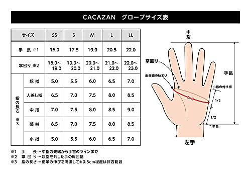 Amazon.co.jp: CACAZAN