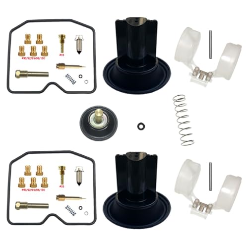 Kit réparation carburateur EL250 Eliminator pour stopper les fuites d'essence