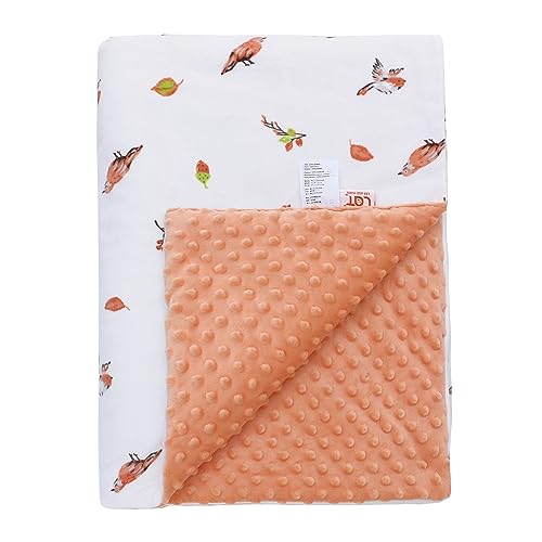 LAT Mantas para Bebés Invierno con Minky 75x100cm - Manta de Cochecito Bebé Manta de Peluche Manta Bebe para Recien Nacido Niñas Niños (Pájaro)