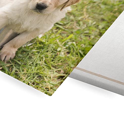 Tableau toile imprimée chiot bébé chien mignon déco chambre bébé - 2