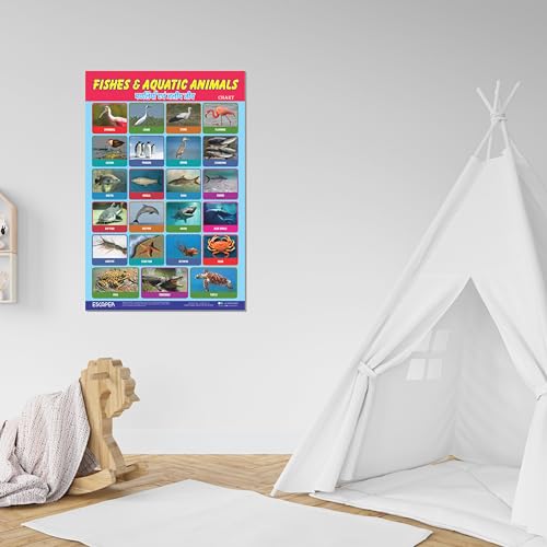 Image of ESCAPER Fishes & Aquatic Animals Educational Charts for Kids, (11.5 x 17.5 inches) Printed On 300 GSM Laminated, Self Adhesive Back, Kids Study Material, Learning Chart, Educational Posters