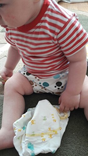 Haimoburg Set van 6 waterdichte baby leerluier trainingsbroeken ondergoed luiers luierbroek voor toilettraining… - Afbeelding 7