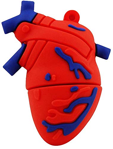 Heart Organ Shape Design 32GB USB 2.0 Flash Drive Flash Stick Pen Drive Gig Stick Memory Stick...