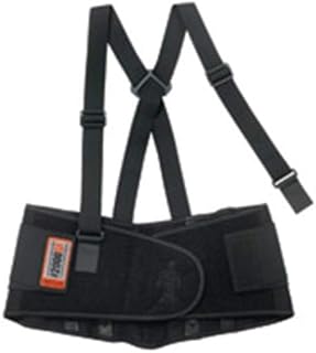 High-Performance Back Support (2EA)