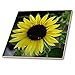 Produktbild Keramikfliese, 3D-Rosenfoto einer Sonnenblume mit Biene, mehrfarbig