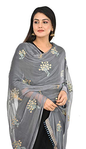 Image of YOUTHQUAKE Heavy Embroidered Work Chiffon Dupatta for Womens & Girls With Fancy Lace
