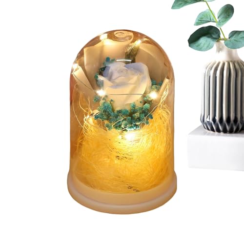 Genérico Eterno - Ramo de rosas eternas con cúpula de - s con iluminación | para mamá, mujer, hermana, hija, esposa, ella, San Valentín, novia, cumpleaños, Navidad