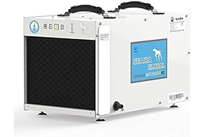 Watchdog BasementNXTD: The ultimate Defender for Dry Basement Environments