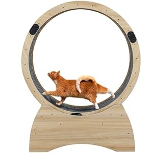 Cat Wheel, Cat Treadmill, Exercise Wheel, Cat Running Wheel with Carpeted Track, Easy to Assemble Ferris Cat Wheel, Cat Wheel Exerciser for Indoor Cats, Pet Treadmill, Pet Toy, Cat Toy