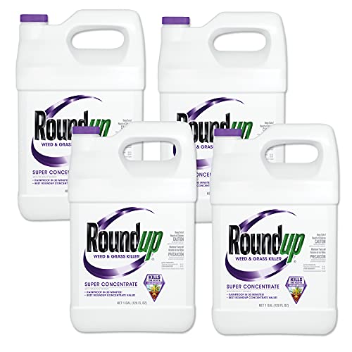 Roundup Weed and Grass Super Concentrate Killer (4 Pack), 1 Gallon Roundup Weed and Grass Super Concentrate Killer (4 Pack), 1 Gallon