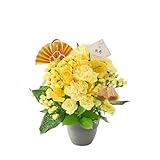 THE WOW 祝！長寿お祝いアレンジメント【S／M／L／LLサイズ】［COLORFUL Flowers］ (米寿「黄」88歳のお祝い, Sサイズ)