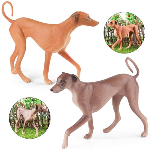 AENIMELY Realistischer Azawakh-Windhund – Feste Plastik braun-graue Windhund-Figur für Kinder, pädagogische Haustier-Dekoration, Kuchentopper & Sammler-Display
