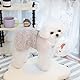 3-teilige Hundekleider Welpen Luxus Prinzessin Kleid Engel Kleid Reine Flügel Kleidung Hochzeitsabend Sommerrock Hundekleid für Kleines Hundemädchen
