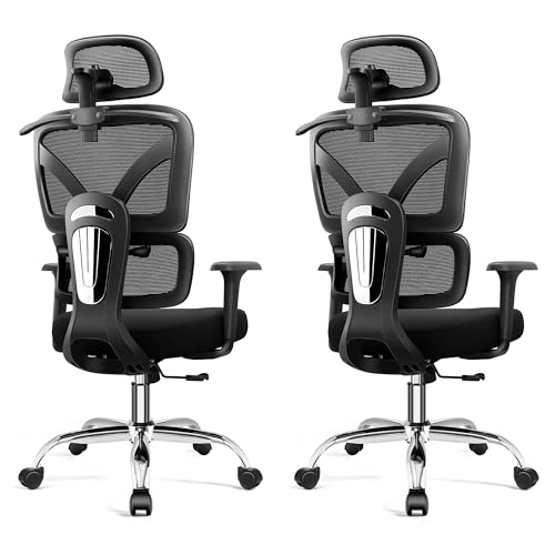 Ergonomic Mesh Office Chair 2 Pack