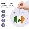 irish flag Car Air Freshener - 4pc Scented Diffuser Set, Long-Lasting Fragrance for Car, Home & Closet #4