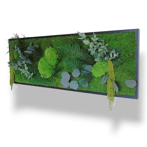 Générique Tableau Végétal Stabilisé JUNGLE XL 100 x 33 cm – Décoration Murale Naturelle | Plantes Stabilisées Sans Entretien | Fabriqué en France