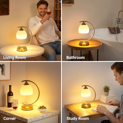 Image of Shenmoyl Set of 2 Tulip Table Lamp, 5200mAh Cordless Touch Control Table Lamps with 3 Color Temps & Stepless Dimming, Rechargeable Battery Table Lamp for Living Room, Bedroom, Shelf (White Tulip)