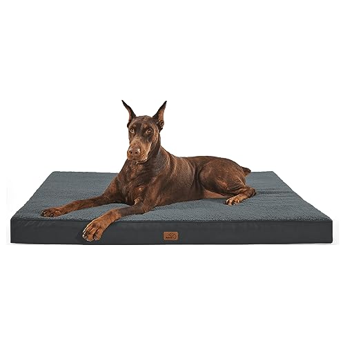 XXL Dog Beds The 15 best products compared Wild Explained