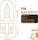 Magnet Pack 10 W5W Halogen-Keillampen 12V 5W Sockel T10 W2,1X9,5D Innen und Außen – Auto und Motorrad