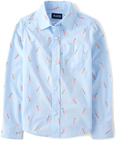 The Children's Place Baby Boys' and Toddler Poplin Long Sleeve Button Down Shirt