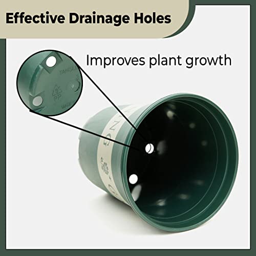Image of UMAI Plastic Plant Pot|Indoor & Outdoor Plant Pot with Tray|Durable & Lightweight|Water Drainage Holes|Plastic Flower Pot for Patio, Garden, Home, & Office|Mini|Green