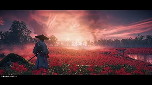 Miniatura 4 de Ghost of Tsushima Director's Cut PS5 | Videojuego Original de Playstation Sony Intereactive Entertainment - Configurable en Japonés, Español, Portugués o Inglés