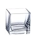 CYS EXCEL Cube Vase, Crystal Clear Glass Vase, Cube Glass Vase (Pack of 6PCS), Multiple Size Available … (Cubic:4")