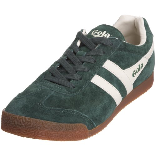 Image of Gola Harrier