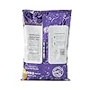 Big Train Pumpkin Pie Chai Tea Single Bag 3.5lb #1