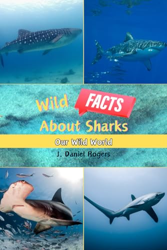 Wild Facts About Sharks: Our Wild World