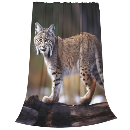 Couverture polaire légère chat sauvage pour canapé et lit - 3