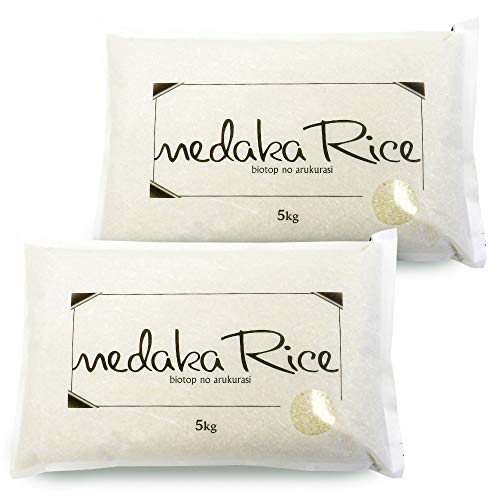 yāz ߂ 10kg (5kg×2) -_JjLCȓcڂň- R`Y ͂ʂ ߘa7NY