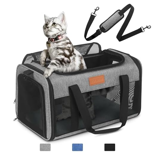 How large can carry on luggage be united Compact TSA Approved Pet Carrier for Travel