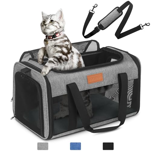 PETUX TSA Approved Pet Carrier in Cabin, 17