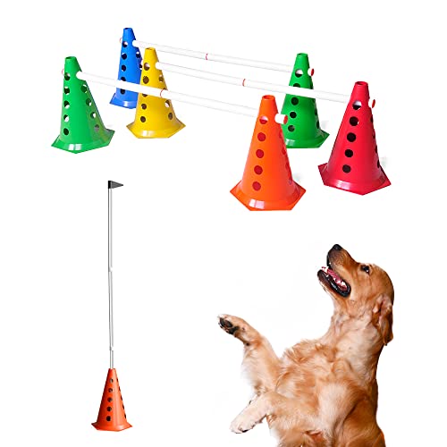 Circuito Para Pets Adestramento de Cachorro Petshop 8 Cone Com Fu...