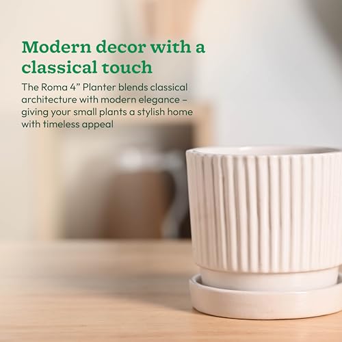 Image of UGAOO Roma Ceramic Pot |Indoor Ceramic Planter for Home, Office, Garden, Balcony - White (4 Inch)