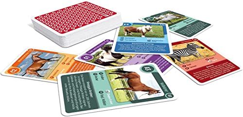 AssAltenburger 3-er Set Quartettspiele/Quartett Tierleben bestehend aus 1. Pferde - 2. Hunde - 3. Katzen