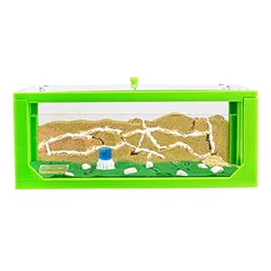 AntHouse – Natural sand ant farm – 3D Green Big Starter Set 30x15x10 cm – Including ant colony